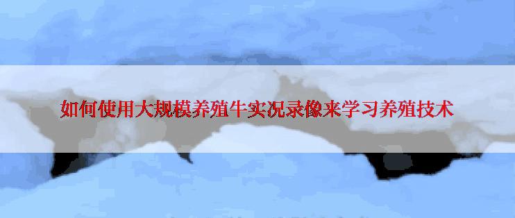如何使用大规模养殖牛实况录像来学习养殖技术