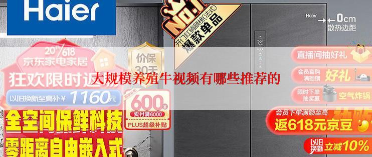 大规模养殖牛视频有哪些推荐的