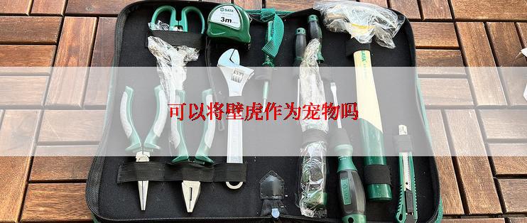 可以将壁虎作为宠物吗