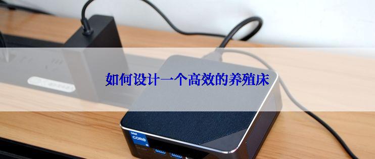 如何设计一个高效的养殖床