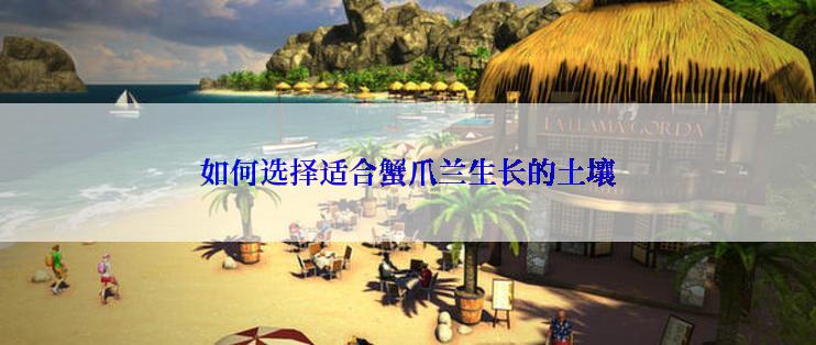 如何选择适合蟹爪兰生长的土壤