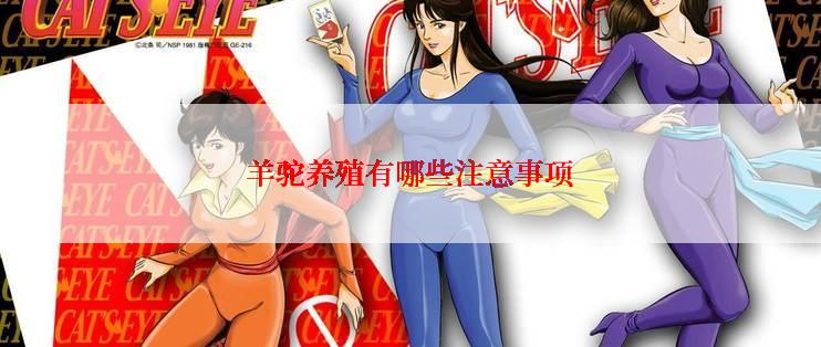 羊驼养殖有哪些注意事项