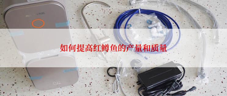 如何提高红鳟鱼的产量和质量