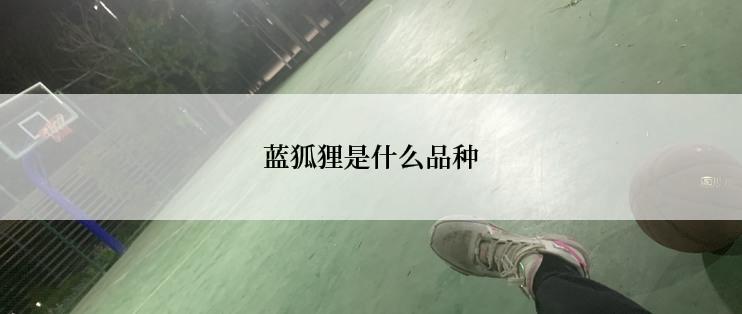 蓝狐狸是什么品种