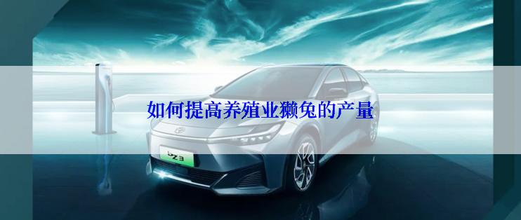 如何提高养殖业獭兔的产量