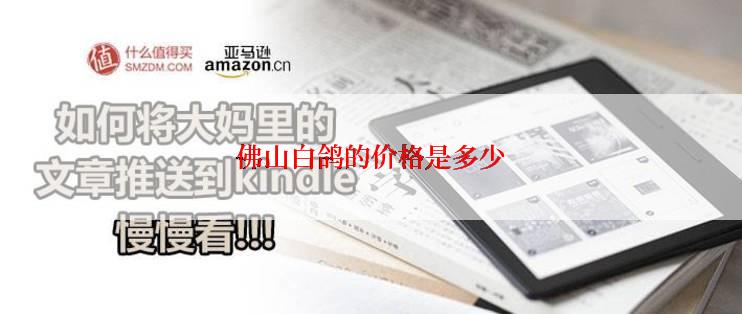 佛山白鸽的价格是多少