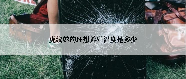 虎纹蛙的理想养殖温度是多少