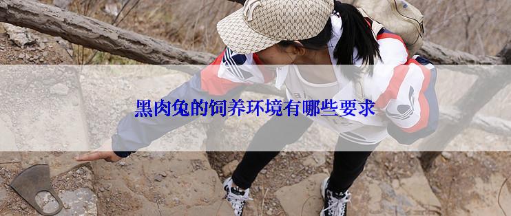 黑肉兔的饲养环境有哪些要求