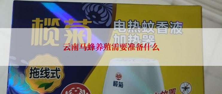 云南马蜂养殖需要准备什么