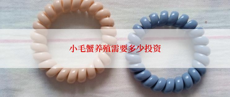 小毛蟹养殖需要多少投资