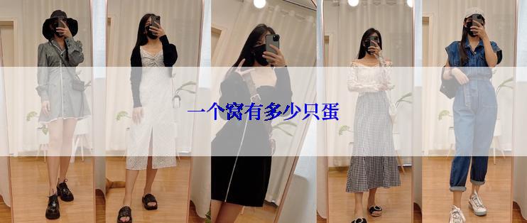 一个窝有多少只蛋