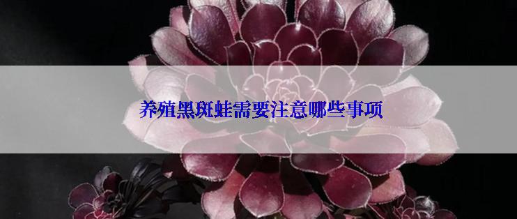  养殖黑斑蛙需要注意哪些事项