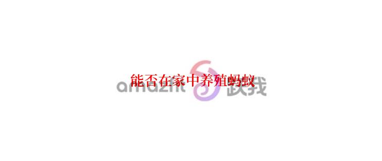  能否在家中养殖蚂蚁