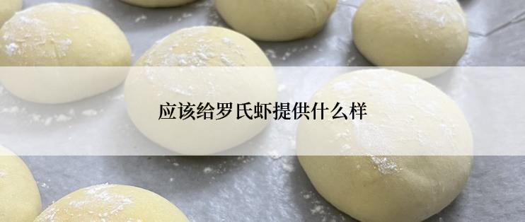 应该给罗氏虾提供什么样