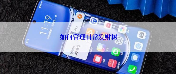  如何管理日常发财树