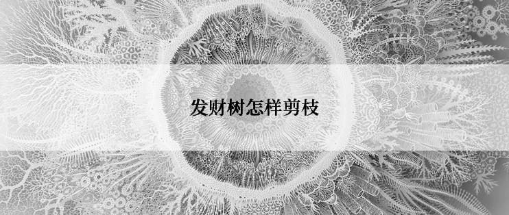 发财树怎样剪枝