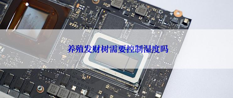 养殖发财树需要控制湿度吗