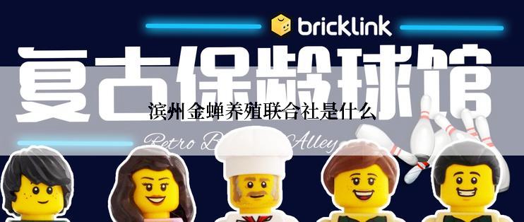 滨州金蝉养殖联合社是什么
