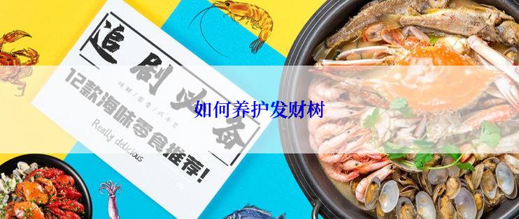 如何养护发财树