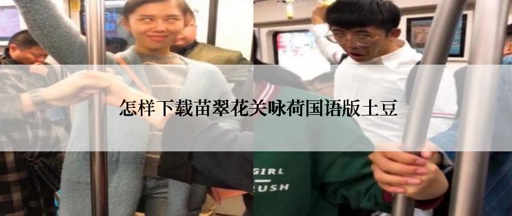  怎样下载苗翠花关咏荷国语版土豆