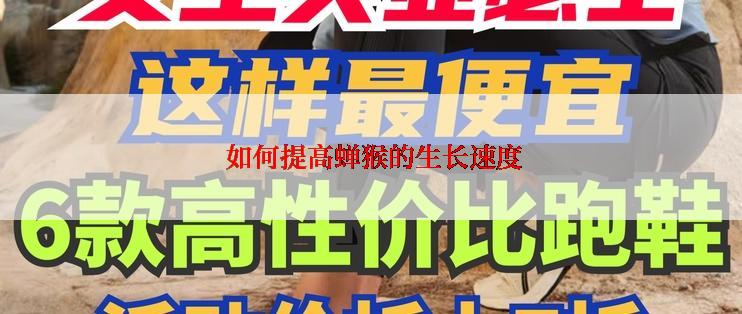  如何提高蝉猴的生长速度