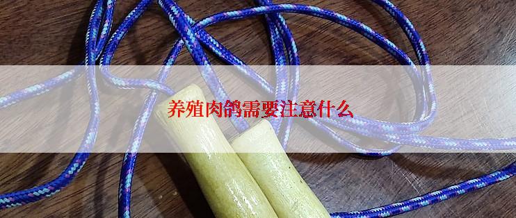  养殖肉鸽需要注意什么