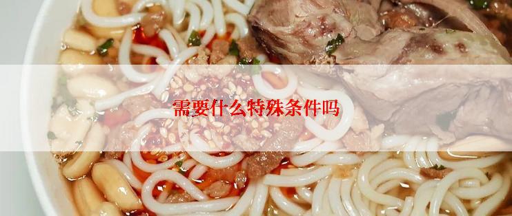 需要什么特殊条件吗