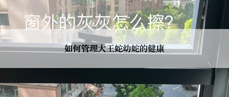 如何管理大王蛇幼蛇的健康