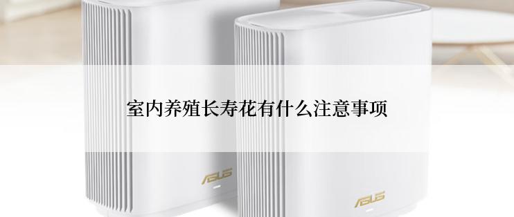 室内养殖长寿花有什么注意事项