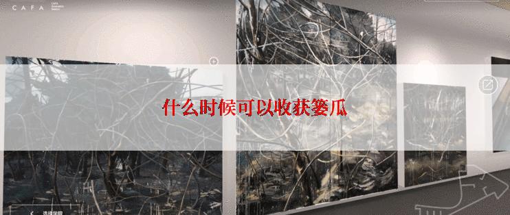 什么时候可以收获篓瓜