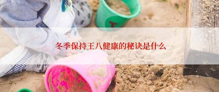 冬季保持王八健康的秘诀是什么