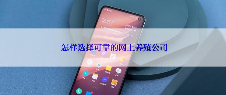  怎样选择可靠的网上养殖公司