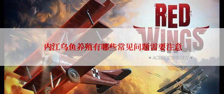  内江乌鱼养殖有哪些常见问题需要注意