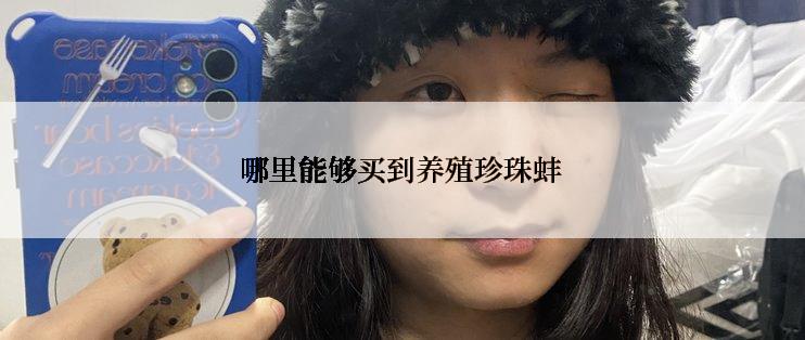 哪里能够买到养殖珍珠蚌