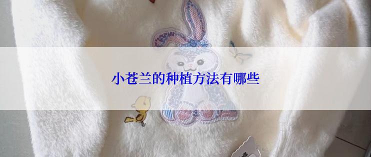 小苍兰的种植方法有哪些