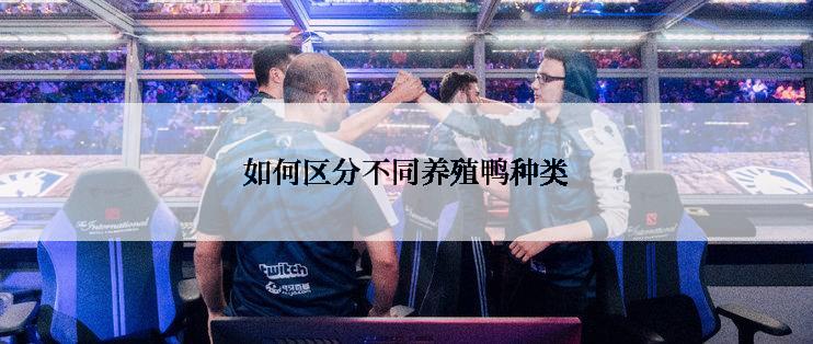 如何区分不同养殖鸭种类