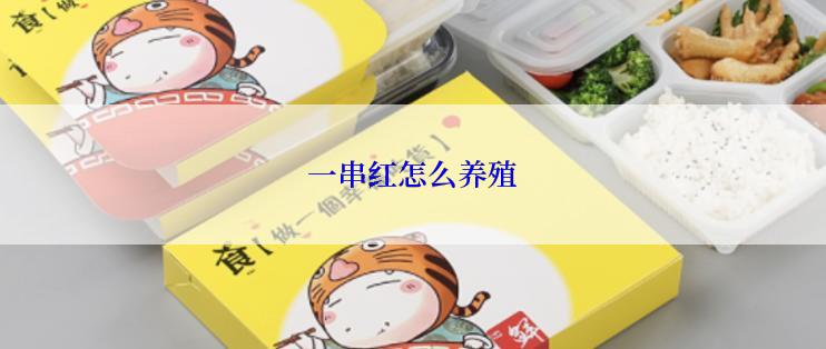 一串红怎么养殖