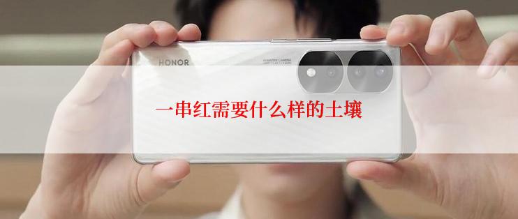 一串红需要什么样的土壤