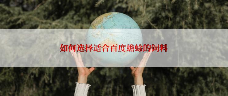 如何选择适合百度蟾蜍的饲料
