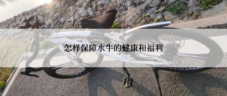 怎样保障水牛的健康和福利
