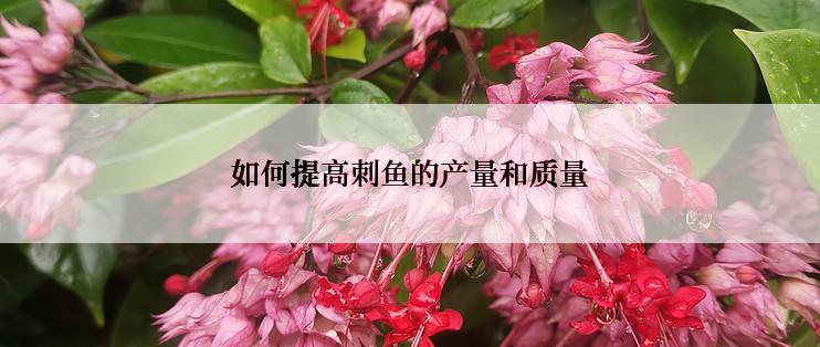 如何提高刺鱼的产量和质量