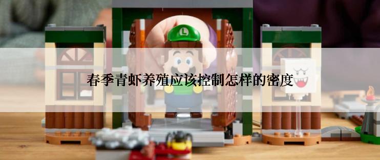 春季青虾养殖应该控制怎样的密度