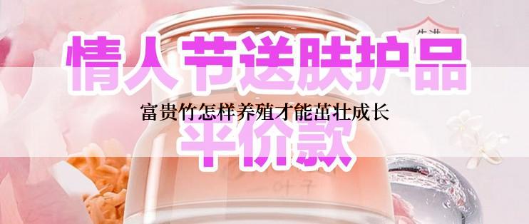 富贵竹怎样养殖才能茁壮成长