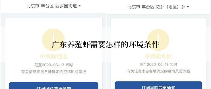 广东养殖虾需要怎样的环境条件