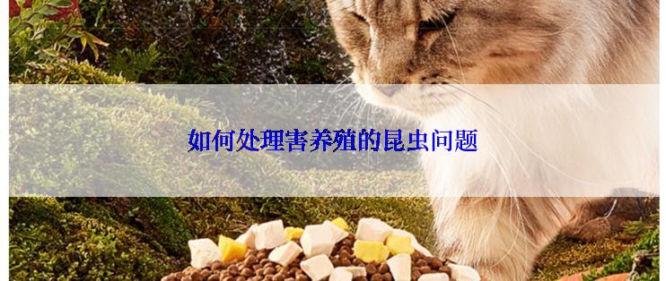 如何处理害养殖的昆虫问题