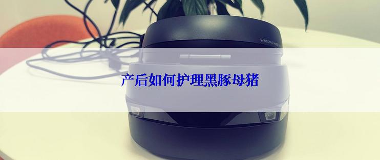 产后如何护理黑豚母猪