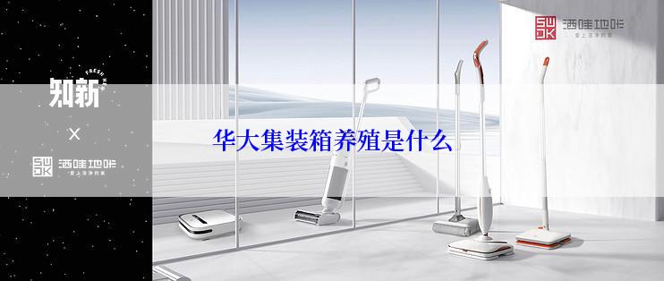 华大集装箱养殖是什么