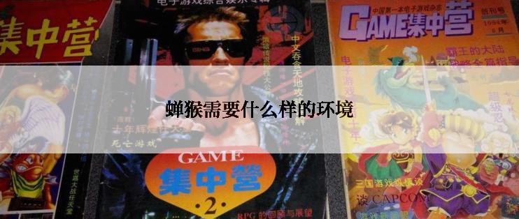 蝉猴需要什么样的环境
