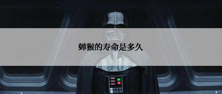 蝉猴的寿命是多久