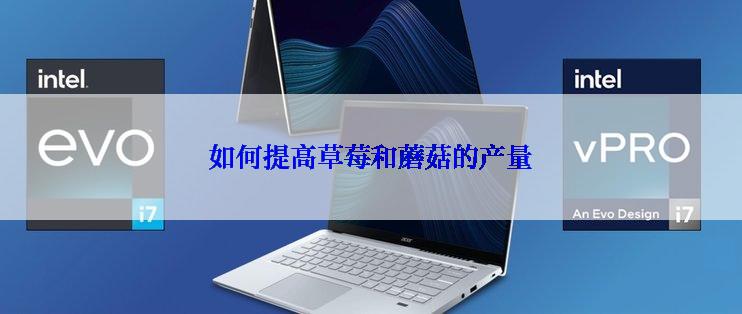 如何提高草莓和蘑菇的产量